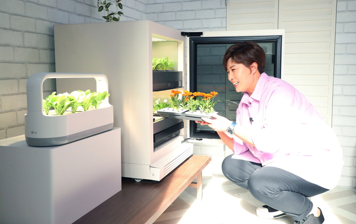 골프여신 박세리가 ‘ThinQ 방탈출 카페’의 테마 가운데 하나인 세탁실에서 신개념 식물생활가전 ‘LG 틔운(LG tiiun) 오브제컬렉션’을 체험하고 있다. *재판매 및 DB 금지