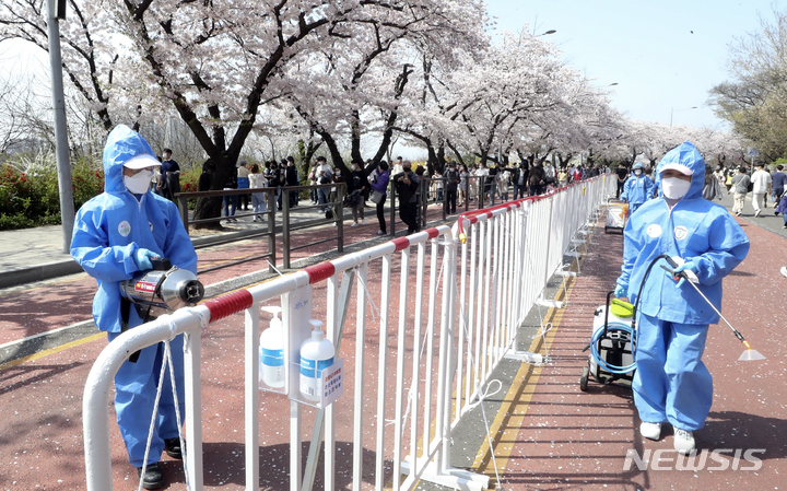 [서울=뉴시스] 최진석 기자 = 10일 서울 영등포구 여의도 윤중로 벚꽃길에서 영등포구 방역 관계자가 코로나19 확산 방지를 위해 방역 작업을 하고 있다. 2022.04.10. myjs@newsis.com