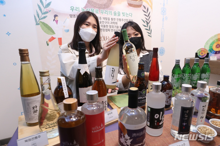 [서울=뉴시스] 전진환 기자 = 전통주. 2022.04.12. amin2@newsis.com