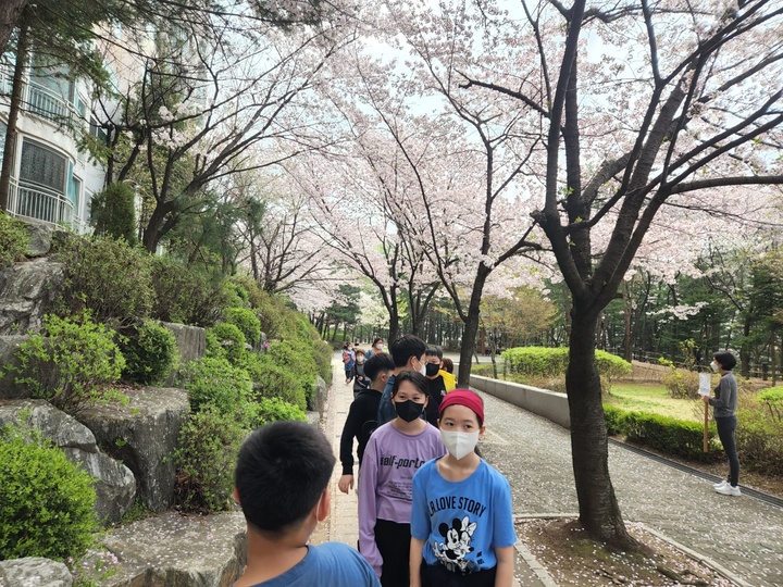 [용인=뉴시스] 경기 용인 나곡초등학초 마을 탐방체험학습 진행. 2022.04.13. (사진=나곡초 제공) *재판매 및 DB 금지