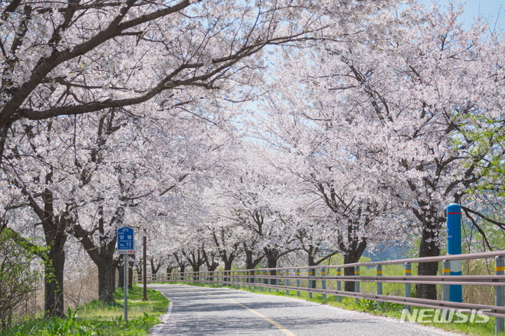 매년 갈산누리봄 축제가 열리는 경기 양평군 갈산공원 산책로. (사진= 양평군 제공)