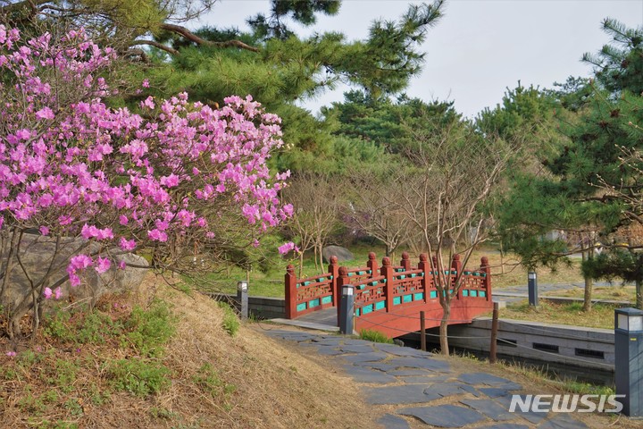 [서울=뉴시스]국립중앙박물관 봄 야외정원 (사진=국립중앙박물관 제공) 2022.04.14. photo@newsis.com *재판매 및 DB 금지