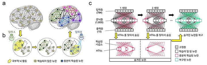 [대전=뉴시스] 스테이싱(Stashing) 알고리즘 모식도. 뇌의 신경조율 활동은 뇌 안의 시냅스 학습정도에 따라 연결된 뉴런에 자극전달 여부를 결정하게 된다. 이에 착안해 stashing 알고리즘은 방출되는 스파이크의 빈도수를 기준으로 학습 정도를 판단하고 회로를 통해 뉴런의 연결도를 수정한다.(사진=KAIST 제공) *재판매 및 DB 금지