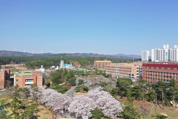 사진은 선린대학교 *재판매 및 DB 금지