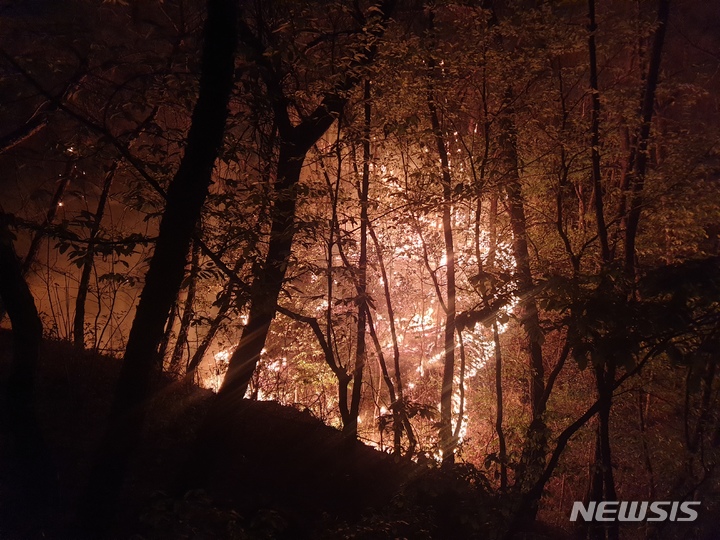 [대구=뉴시스]김정화 기자 = 20일 오후 8시32분께 대구시 달서구 월성동 산20 일원에서 불이 났다는 신고가 접수됐다. (사진 = 대구소방안전본부 제공) 2022.04.21. photo@newsis.com