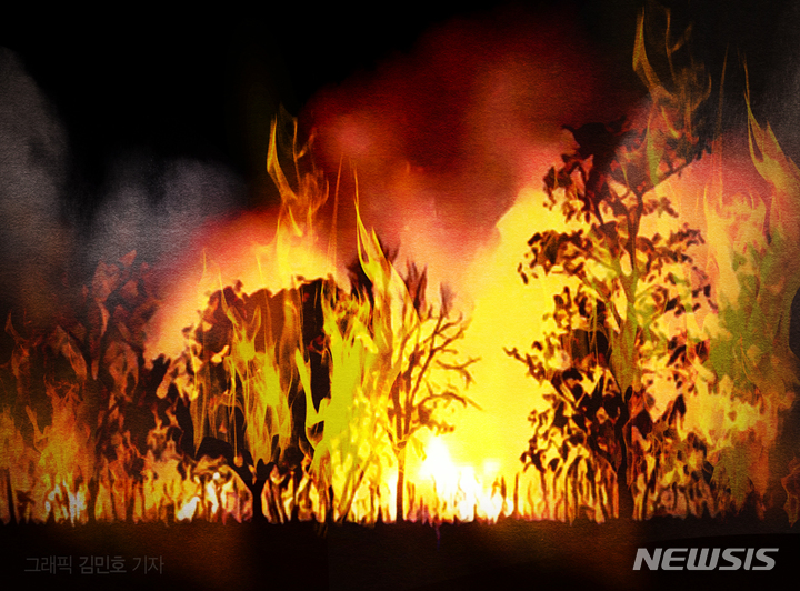 장흥 부산면 야산서 불…산림 당국 진화 중