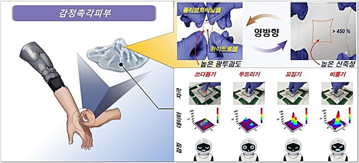 [대전=뉴시스] 고투명, 고신축성 감정촉각피부와 다양한 촉각 제스처에 대한 측정 데이터. 이 감정촉각피부는 쓰다듬기, 두드리기, 꼬집기, 비틀기 등 다양한 촉각 제스처를 측정할 수 있다. *재판매 및 DB 금지