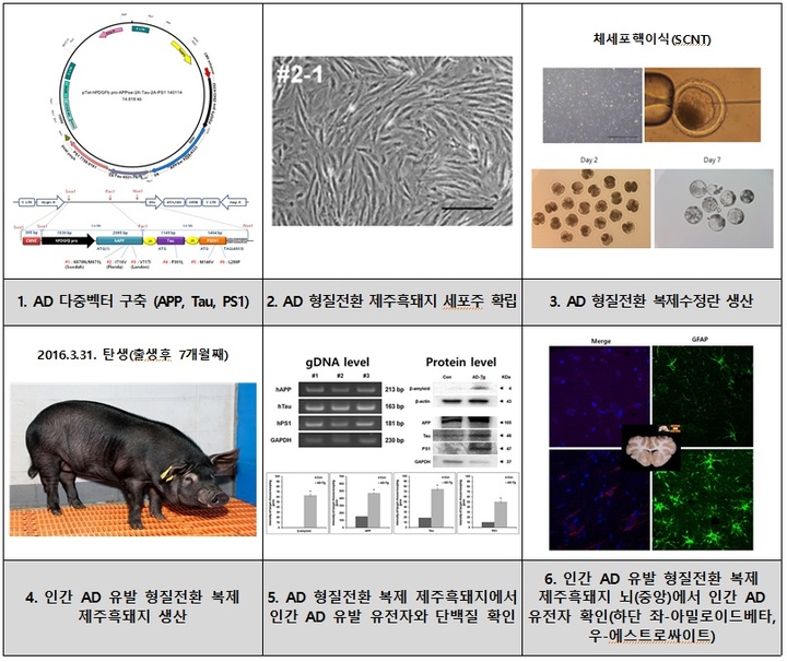 [제주=뉴시스] 미국 특허 기술 이전 개요. (사진=제주대 제공) *재판매 및 DB 금지