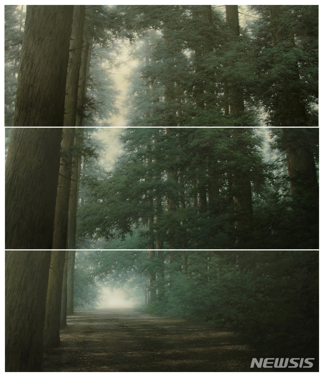 [서울=뉴시스]도성욱, Condition-Light, 2008, 캔버스에 유채, 100×260cm, 낙찰가 104,674,600원(HKD 620,000), 서울옥션 홍콩 2008.10.07.