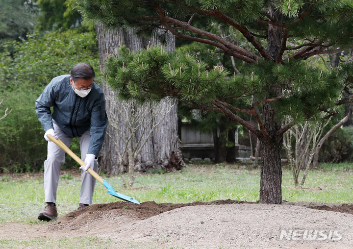 [포천=뉴시스] 전신 기자 = 문재인 대통령이 22일 경기도 포천 국립수목원을 방문해 기념식수를 하고 있다. 2022.04.22. photo1006@newsis.com