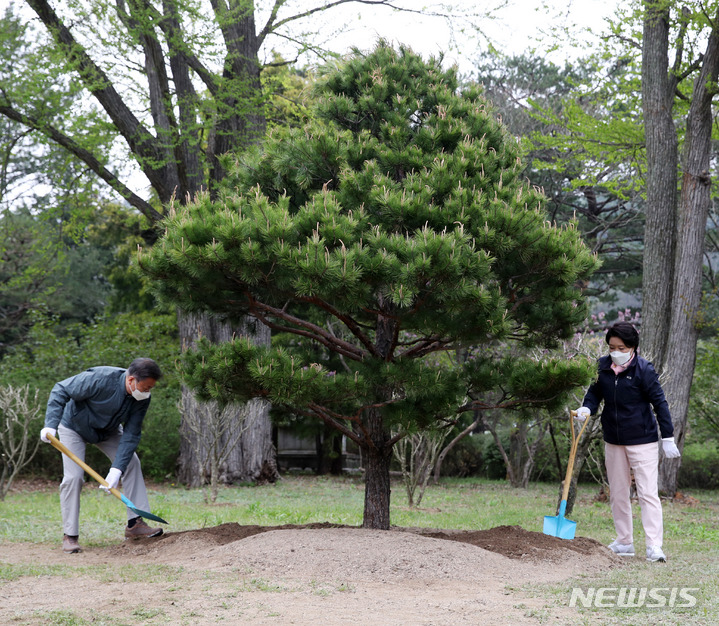 [포천=뉴시스] 전신 기자 = 문재인 대통령과 부인 김정숙 여사가 22일 경기도 포천 국립수목원을 방문해 기념식수를 하고 있다. 2022.04.22. photo1006@newsis.com