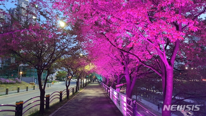 하남시 덕풍천변 야간 경관조명 점등 모습. (사진= 하남시 제공)