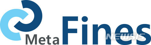 [서울=뉴시스] 메타파인즈. (사진=뉴시스 DB). photo@newsis.com