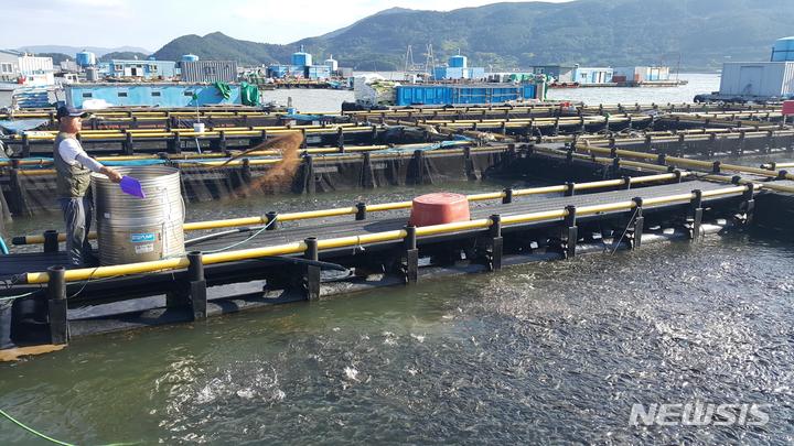 [서울=뉴시스] 해상가두리 양식장. 