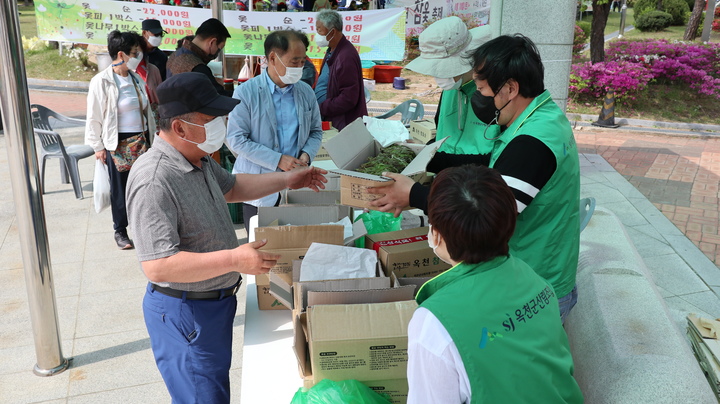 지난 25일 충북 옥천군에서 열린 참옻 축제를 찾은 방문객들이 옻순을 살펴보고 있다.2022.05.02.kipoi@newsis.com *재판매 및 DB 금지