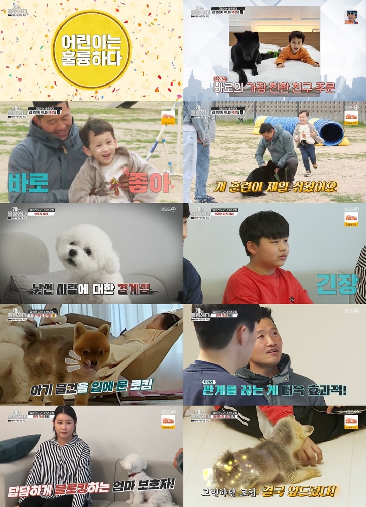 [서울=뉴시스]리뷰. 2022.05.03. (사진=KBS2 '개는 훌륭하다'제공) photo@newsis.com*재판매 및 DB 금지 *재판매 및 DB 금지