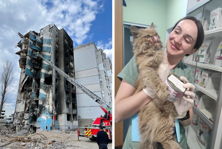 [서울=뉴시스] 지난 2일 키이우 인근 보로디안카의 아파트에서 구조된 고양이 '보로댠카'. (사진=유진 키베츠 페이스북 갈무리) 2022.05.03. *재판매 및 DB 금지