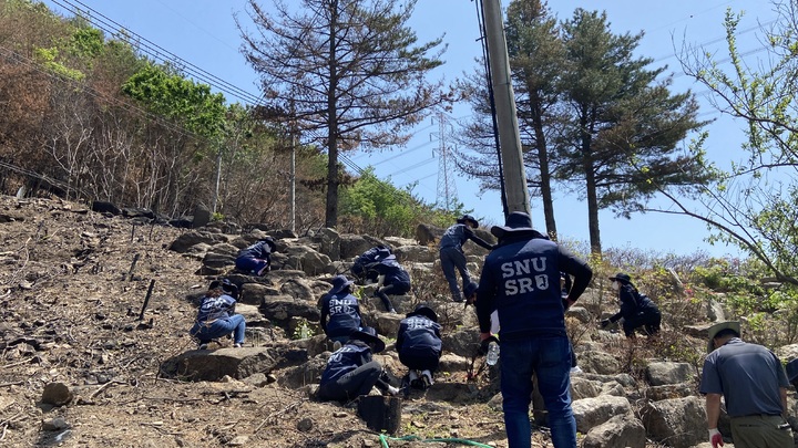 [서울=뉴시스]봉사 참여자들이 동해안 산불피해지역에서 봉사활동을 하고 있다. 사진 서울대 *재판매 및 DB 금지