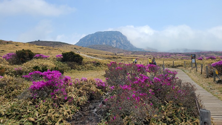 다시 달아오르는 제주 분양 시장…올해 2800가구 7년만 '최다' - 뉴시스