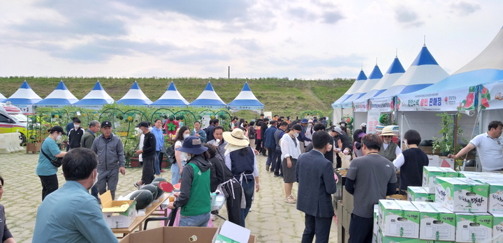 제3회 대한민국·제28회 함안수박 온라인 축제 성료  *재판매 및 DB 금지