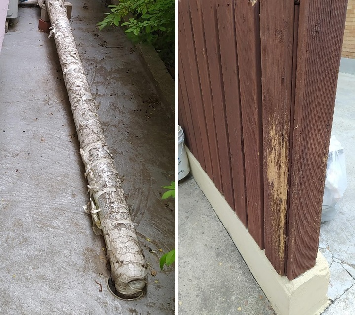 [서울=뉴시스]온라인 커뮤니티 캡처 *재판매 및 DB 금지