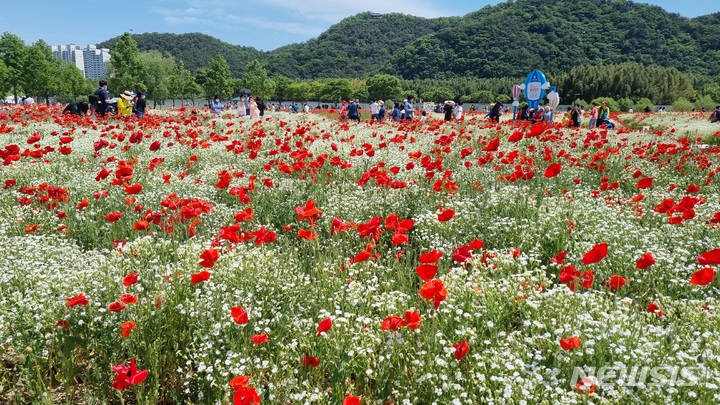 [울산=뉴시스] 배병수 기자 = 2022 ‘태화강 국가정원 봄꽃축제’가 14일 울산 중구 태화강국가정원 일원에서 열리고 있다. 2022.05.14. bbs@newsis.com