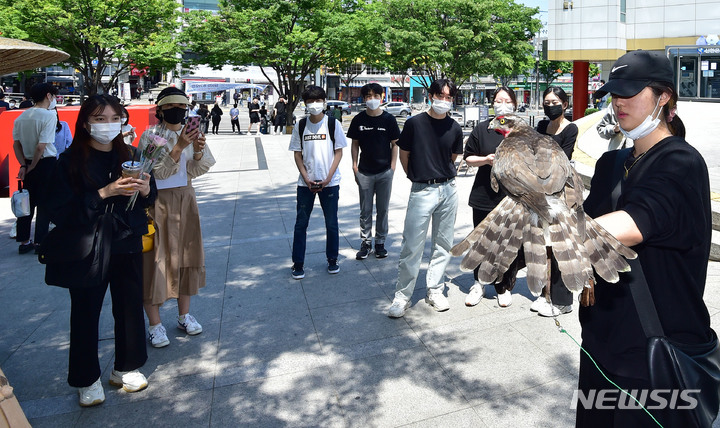 [대구=뉴시스] 이무열 기자 = 16일 오전 대구 북구 경북대학교에서 열린 ‘2022 봄 경북대 문화주간 행사’를 찾은 학생들이 천연기념물 참매를 손에 얹고 매사냥 체험을 하고 있다. 2022.05.16. lmy@newsis.com