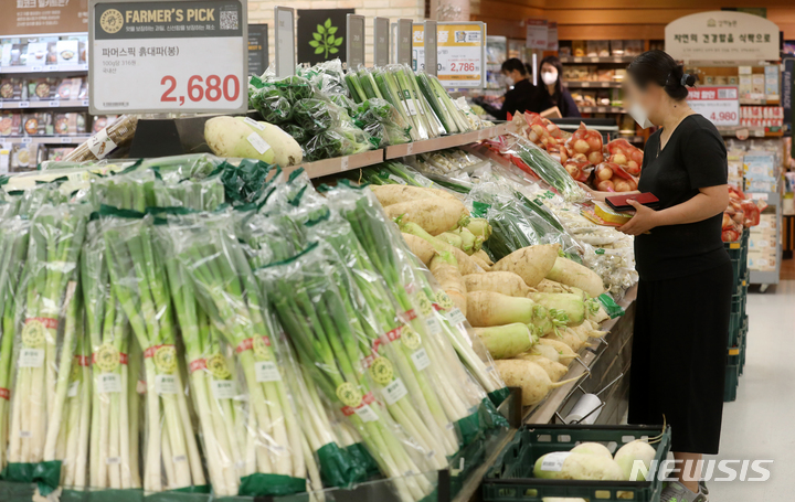 [서울=뉴시스] 조성우 기자 = 서울 시내 한 대형마트에서 고객들이 장을 보고 있다. 2022.05.16. xconfind@newsis.com