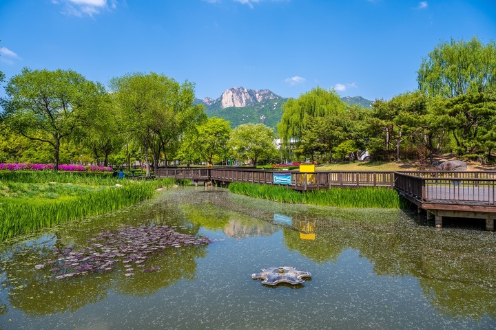 습지원에서 바라본 창포원 풍경과 도봉산의 능선.2022.05.17. (사진=서울관광재단 제공) photo@newsis.com *재판매 및 DB 금지