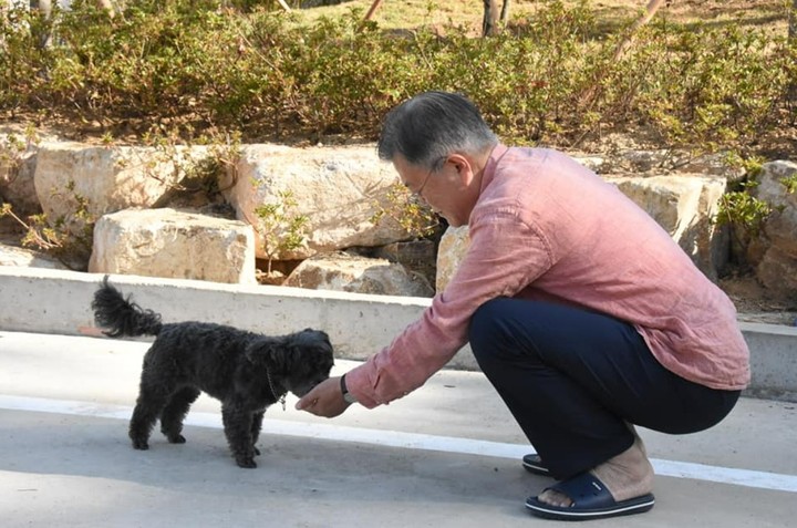 [서울=뉴시스] 고승민 기자 = 문재인 전 대통령이 사저에서 보내는 일상이 SNS를 통해 전해졌다. '평산마을 비서실'은 이날 "귀향하시고 1주일이 되었습니다. 서재 정리에 가장 많은 시간을 보내셨습니다. 마루, 곰이, 송강이, 다운이, 토리와 함께 매일 아침 산책을 하시고, 해 질 무렵엔 나무에 물 주기를 잊지 않으십니다"는 글과 사진들을 게시했다. (사진=페이스북 캡처) 2022.05.17. photo@newsis.com *재판매 및 DB 금지