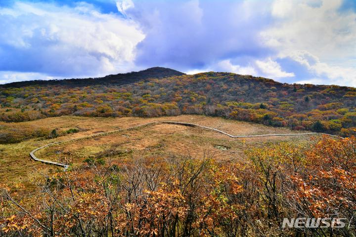 [서울=뉴시스]대암산 용늪 현황(사진=환경부 제공)