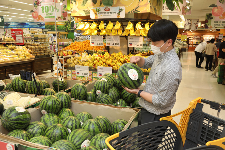 이마트, 당도표시제 확대…"과일 '맛', 눈으로 확인"