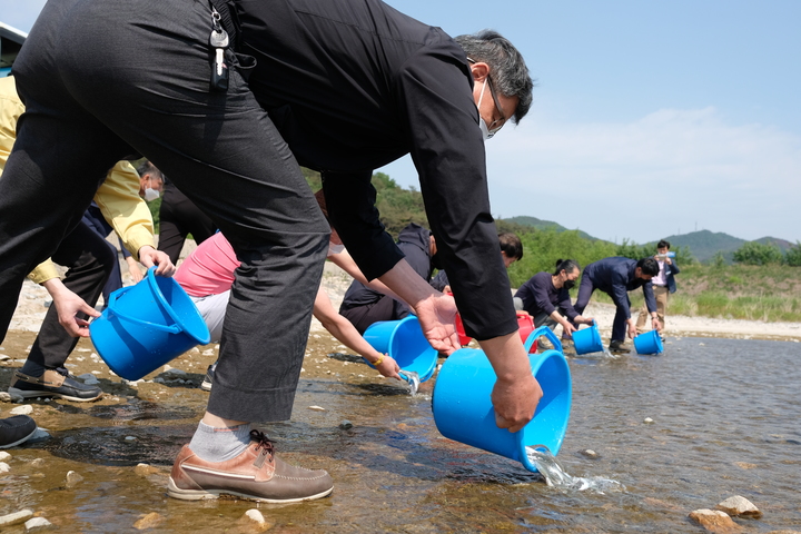 [영덕=뉴시스] 이바름 기자 = 경북 영덕군은 지역을 대표하는 군어이자 특산물인 황금은어를 보호하고 개체수를 유지하기 위해 수질 1등급 하천인 오십천과 송천에 치어 40만미를 방류했다고 21일 밝혔다.(사진=영덕군청 제공) 2022.05.21. photo@newsis.com *재판매 및 DB 금지