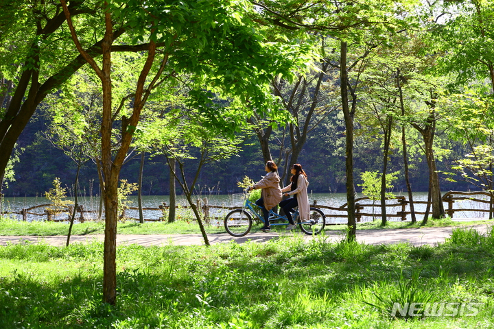 [서울=뉴시스]남이섬 풍경