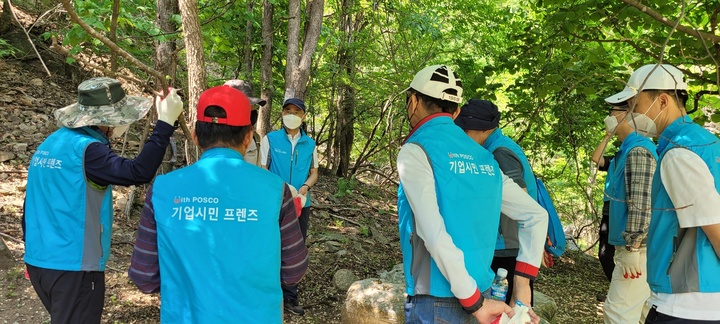 [포항=뉴시스] 강진구 기자 = 포스코 기업시민프렌즈가 산양 구호를 위해 20일 오전 경북 울진군 산불피해지역에서 주요 먹이원인 건뽕잎을 산양 이동로에 배치하고 있다.(사진=포스코 제공) 2022.05.21.photo@newsis.com *재판매 및 DB 금지