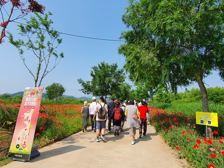 초동연가길 걷기대회 참가자들. *재판매 및 DB 금지