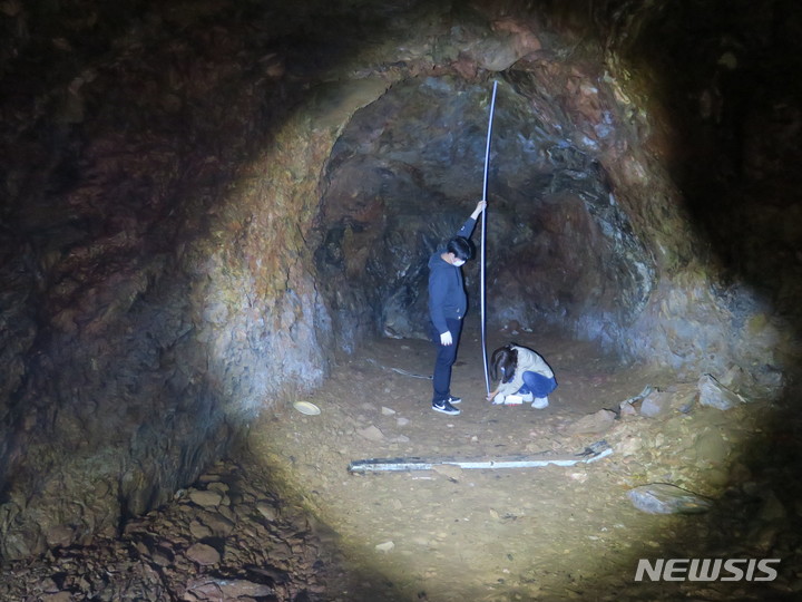 군산대학교 캠퍼스 인공동굴 무더기 확인 (사진=군산대 제공)
