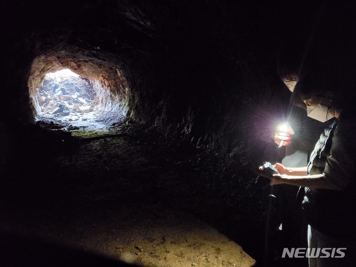 군산대학교 캠퍼스 인공동굴 무더기 확인 (사진=군산대 제공)