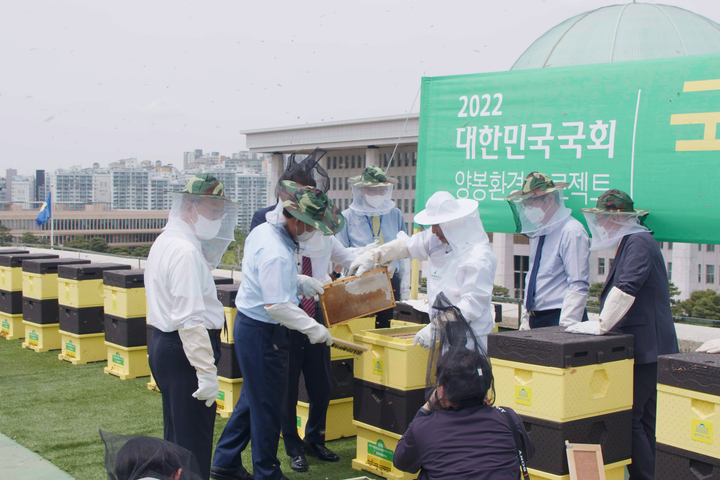 안상규벌꿀, 국회서 아카시아 벌꿀 700㎏ 수확 *재판매 및 DB 금지