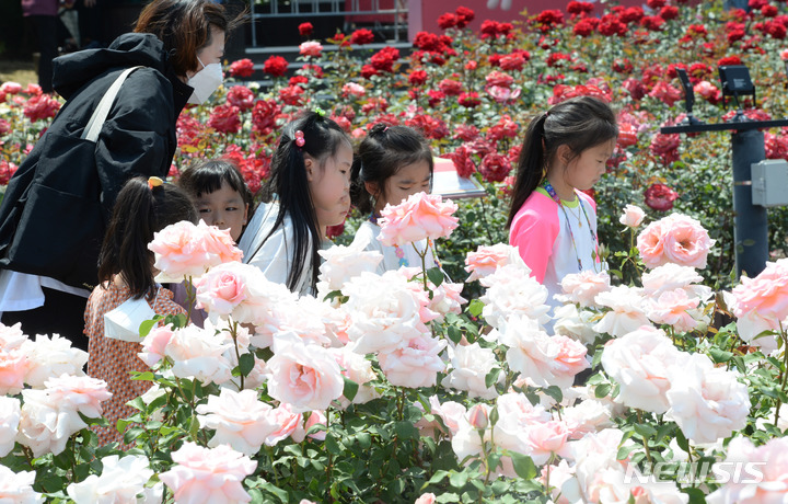 [울산=뉴시스] 배병수 기자 =  ‘제14회 울산대공원 장미축제’가 25일 울산시 남구 대공원 장미원 및 남문광장 일원에서 ‘러브스토리 인 울산’을 주제로 개막한 가운데 어린이들이 장미꽃길을 거닐고 있다. 2022.05.25. bbs@newsis.com