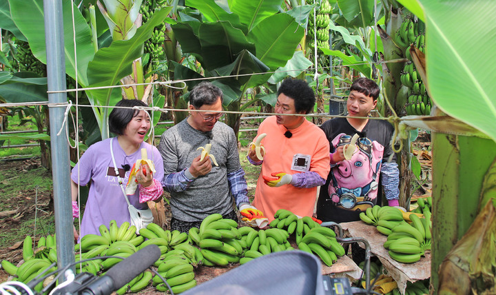 [진주=뉴시스] iHQ의 ‘자급자족원정대’ 산청군편. *재판매 및 DB 금지