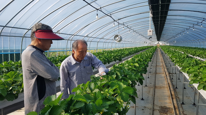 밀양시 "영농철 피해예방 언제든지 해결해줍니다"