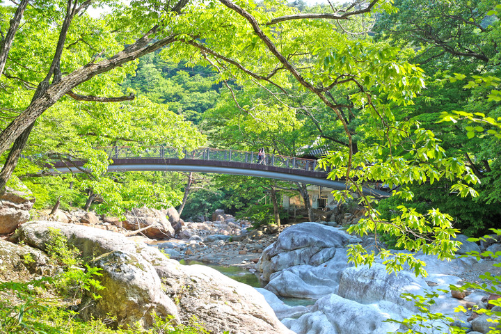 [산청=뉴시스] 산청군 지리산 대원사 계곡길. *재판매 및 DB 금지