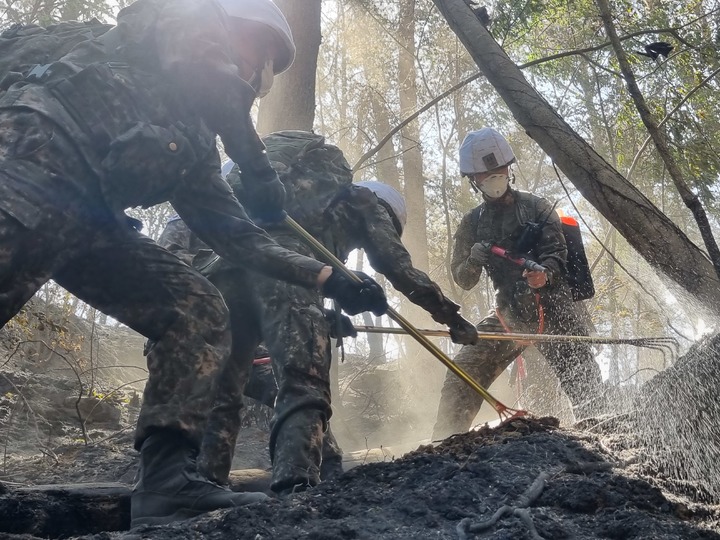 [울진=뉴시스] 이바름 기자 = 육군 제50사단 장병들이 29일 오전 경북 울진군 근남면 산불 현장에서 잔불정리 작전을 수행하고 있다.(사진=육군 제50사단 제공) 2022.05.29. photo@newsis.com *재판매 및 DB 금지
