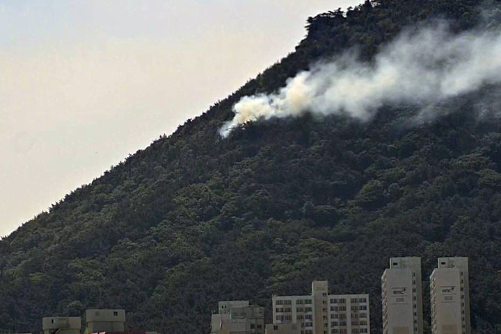 [부산=뉴시스] 29일 오후 부산 영도구 봉래산 자락에서 불이 났다. (사진=산림청 제공) *재판매 및 DB 금지