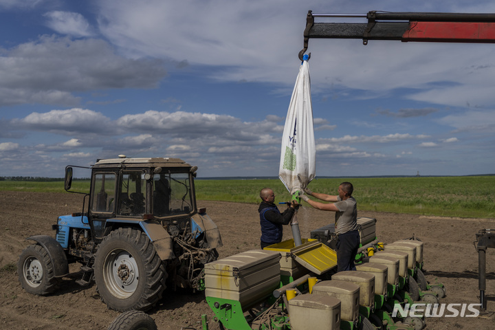 [하르키우=AP/뉴시스] 지난해 5월 우크라이나의 하르키우시 교외의 테르카스카 로조바 지역 농민들이 전쟁 중에도 밭에 해바라기씨를 파종하기 위해 준비하고 있는 모습. 2023.04.29.