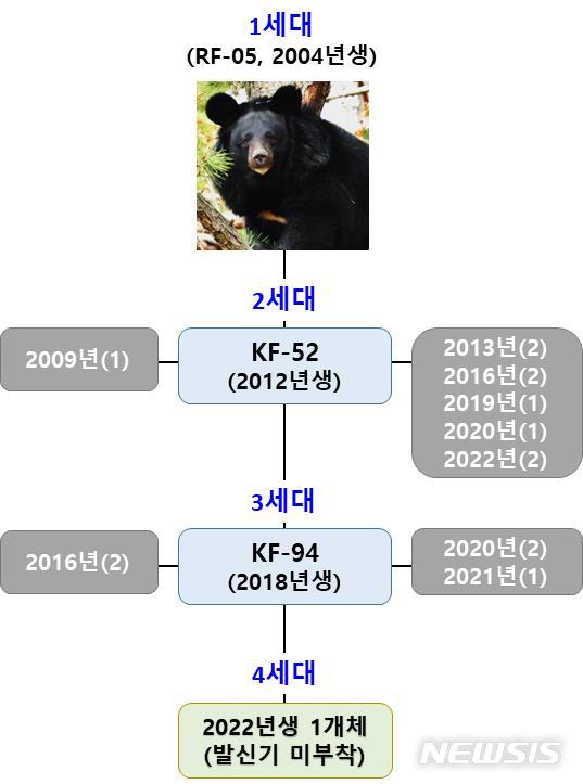 [서울=뉴시스]지리산 반달가슴곰 4세대 가계도(자료=국립공원공단 제공)