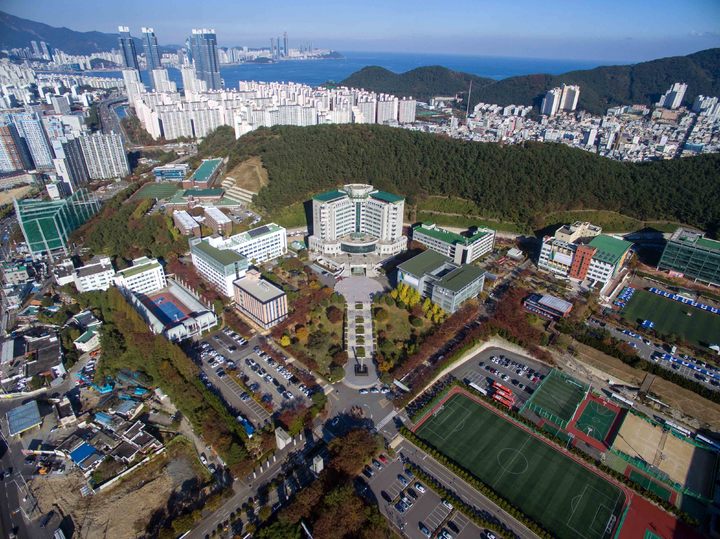 부산 남구 동명대학교 *재판매 및 DB 금지
