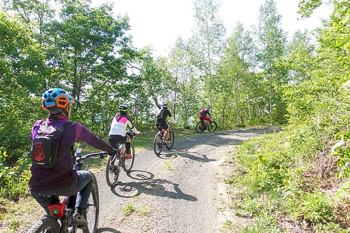 가속 페달 밟는 자전거주...이유는