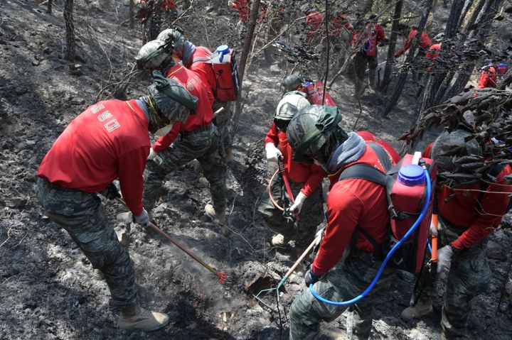 [포항=뉴시스] 이바름 기자 = 2일 해병대 제1사단 신속기동부대 장병들이 경남 밀양시 부북면 일대 산불현장에 투입돼 잔불 진화작업을 실시하고 있다.(사진=해병대 제1사단 제공) 2022.06.02. photo@newsis.com  *재판매 및 DB 금지